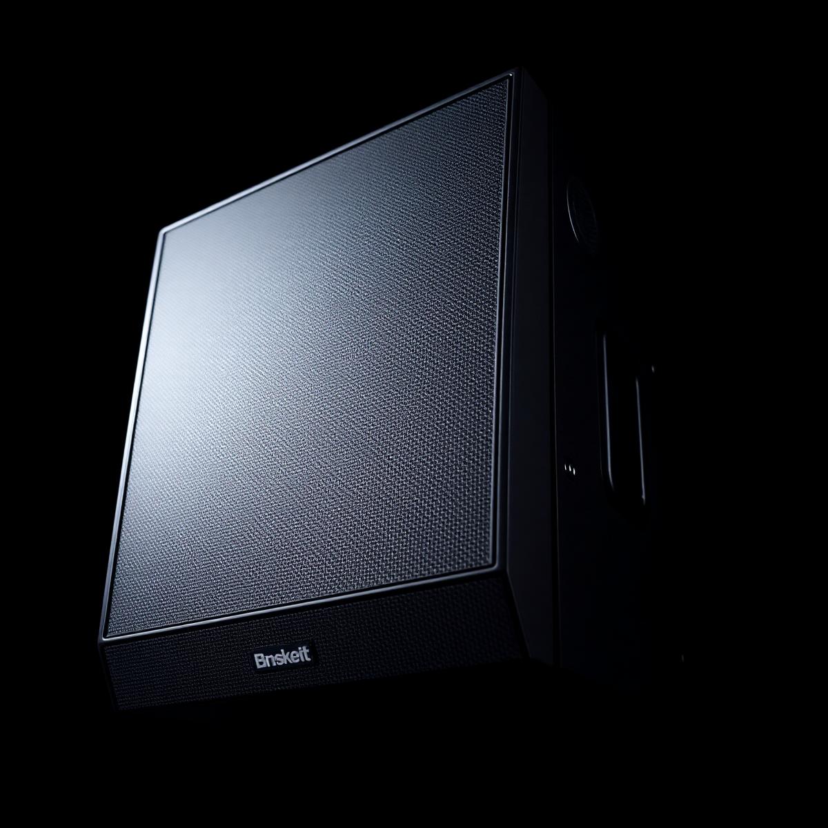 Line Array Element 8